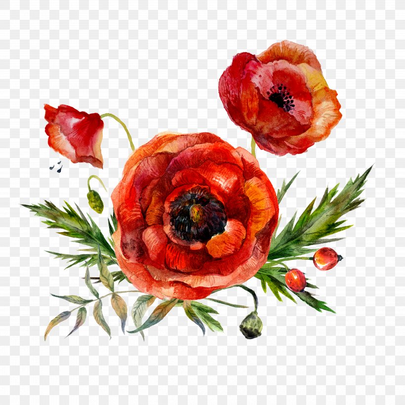 Watercolor Painting Flower Poppy, PNG, 5000x5000px, Watercolor Painting, Art, Common Poppy, Drawing, Flower Download Free