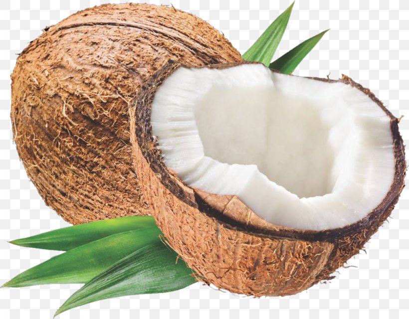Coconut Oil Carrier Oil Coconut Milk Cream, PNG, 1024x800px, Coconut, Carrier Oil, Coconut Milk, Coconut Oil, Commodity Download Free