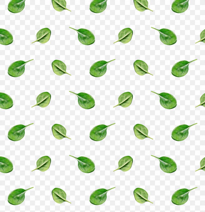 Green Pattern Leaf Line Plant, PNG, 1920x1981px, Green, Leaf, Plant Download Free