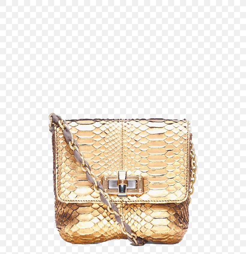 Handbag Chanel Leather Tote Bag Shoe, PNG, 564x846px, Handbag, Bag, Beige, Brown, Chanel Download Free