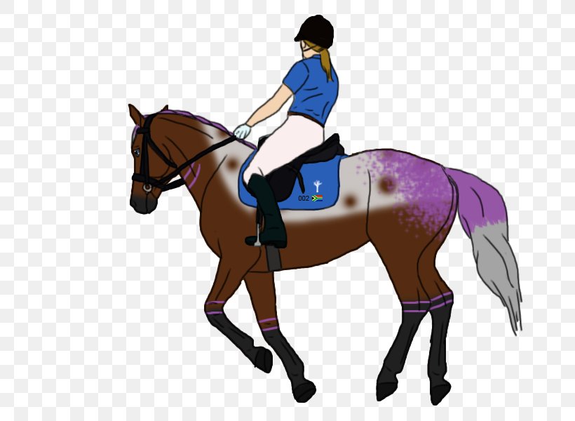 Hunt Seat Mane Horse Bridle Stallion, PNG, 674x600px, Hunt Seat, Animal Sports, Animal Training, Bit, Bridle Download Free