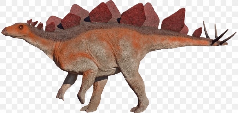 Moab Giants Velociraptor Hesperosaurus Stegosaurus Morrison Formation, PNG, 1040x498px, Moab Giants, Animal Figure, Dinosaur, Dinosaur Museum, Herbivore Download Free