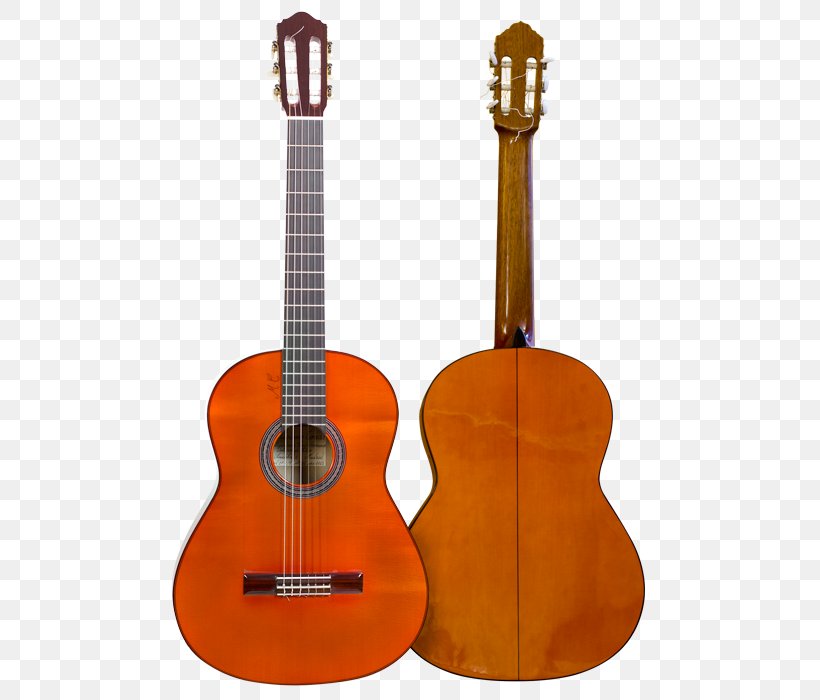 Tiple Ukulele Acoustic Guitar Cuatro Cavaquinho, PNG, 700x700px, Watercolor, Cartoon, Flower, Frame, Heart Download Free