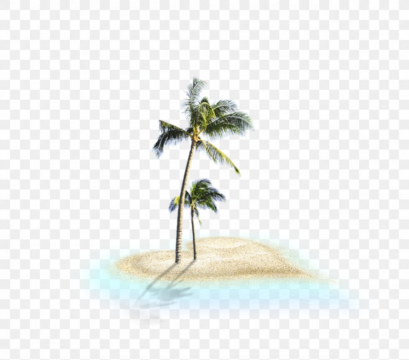 Beach Tree Clip Art, PNG, 1180x1039px, Beach, Arecaceae, Flora, Grass, Green Download Free