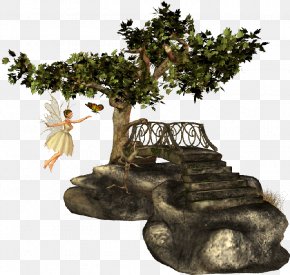 Enchanted Images Enchanted Transparent Png Free Download - roblox escape room enchanted forest secret password free