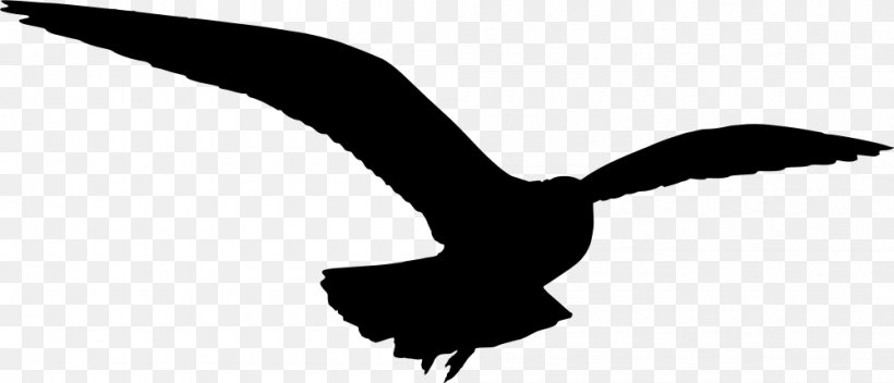 Gulls Silhouette Clip Art, PNG, 1000x430px, Gulls, Beak, Bird, Bird Of Prey, Black And White Download Free