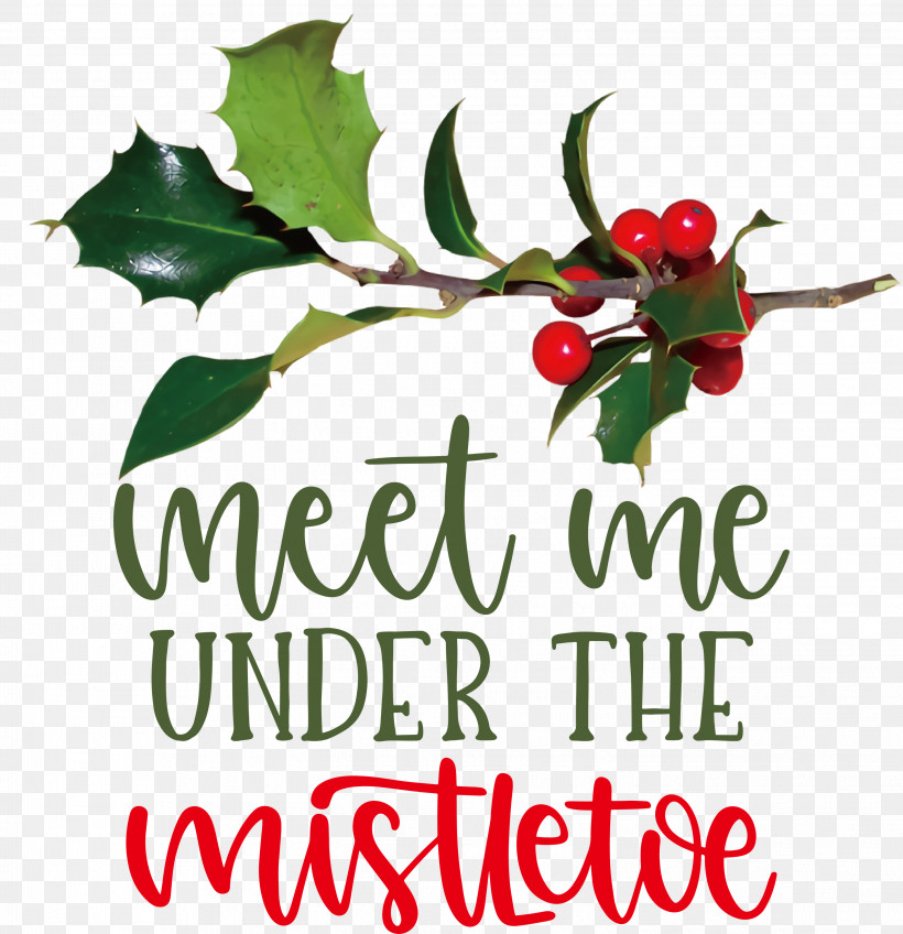 Meet Me Under The Mistletoe Mistletoe, PNG, 2898x3000px, Mistletoe, Aquifoliales, Barry M, Biology, Branching Download Free