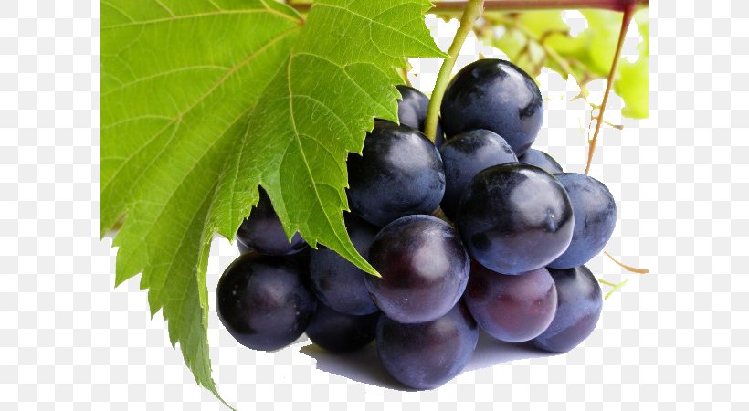 Pinot Noir Juice Pinot Meunier Grape-Nuts, PNG, 600x450px, Pinot Noir, Amazon Grape, Antioxidant, Berry, Black Rot Download Free