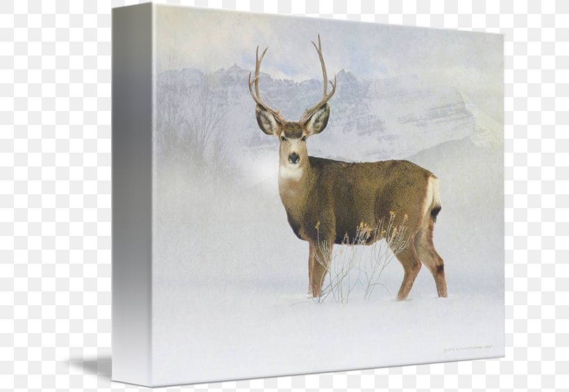 Reindeer Mule Deer Antler, PNG, 650x565px, Reindeer, Animal, Antler, Art, Artist Download Free