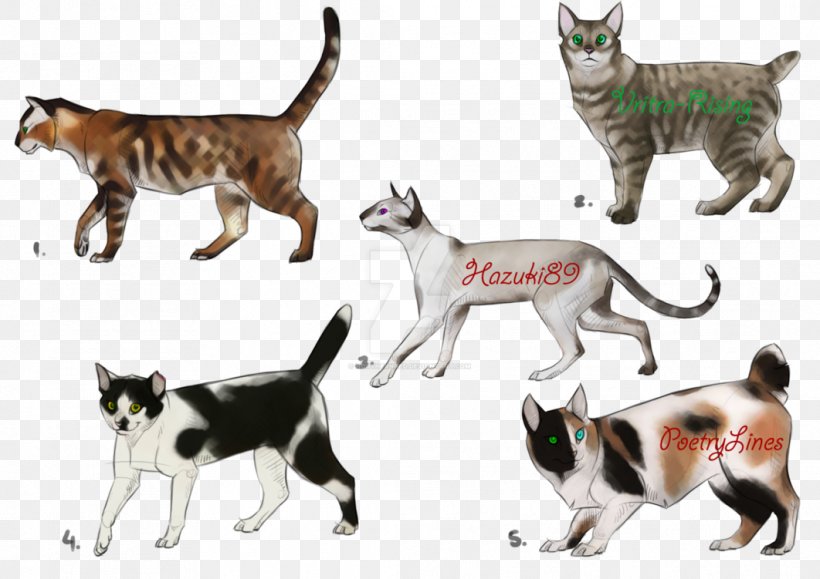 Sokoke Digital Art Drawing Domestic Short-haired Cat, PNG, 1062x751px, Sokoke, Adoption, Animal Figure, Art, Artist Download Free