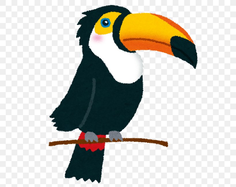 Toco Toucan Bird Beak, PNG, 584x650px, Toucan, Animal, Beak, Bird, Bird Of Prey Download Free