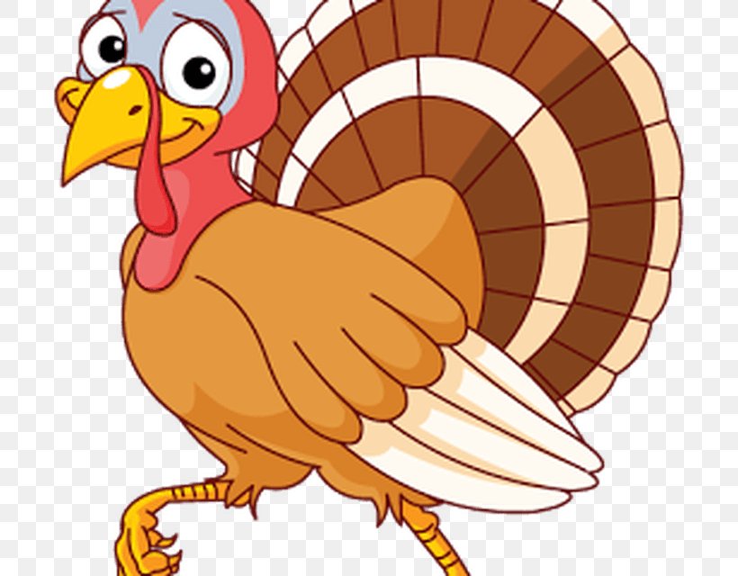 Turkey Meat Thanksgiving Clip Art, PNG, 800x640px, Turkey Meat, Artwork, Beak, Bird, Chicken Download Free