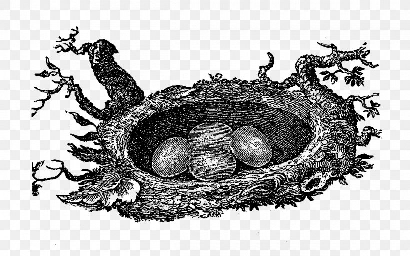 Bird Nest, PNG, 1200x751px, Bird, Bird Egg, Bird Nest, Black And White, Diagram Download Free