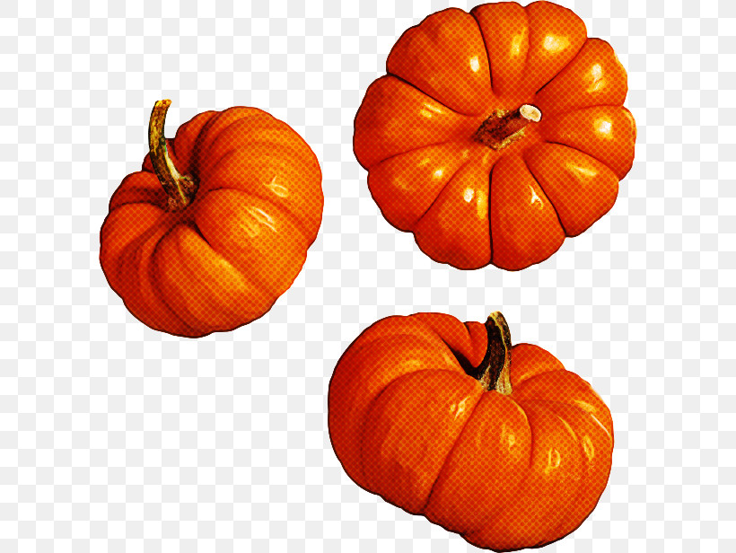 Pumpkin, PNG, 600x616px, Pumpkin, Calabaza, Cucurbita, Food, Fruit Download Free