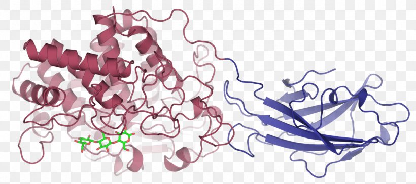 Cellulase Enzyme Trichoderma Viride Cellulose Glucan, PNG, 1280x569px, Watercolor, Cartoon, Flower, Frame, Heart Download Free