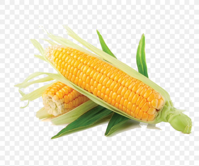 Corn On The Cob Maize Vegetable Sweet Corn Salad, PNG, 1200x1000px, Corn On The Cob, Bean, Cereal, Commodity, Corn Kernels Download Free