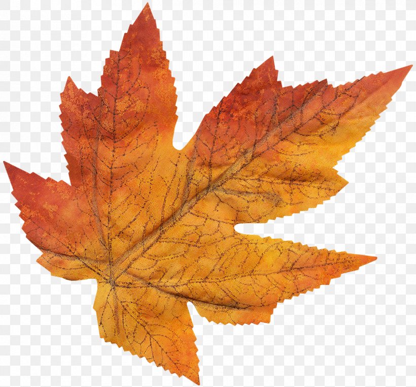 Maple Leaf Tree, PNG, 1215x1130px, Maple Leaf, Leaf, Maple, Maple Tree, Tree Download Free