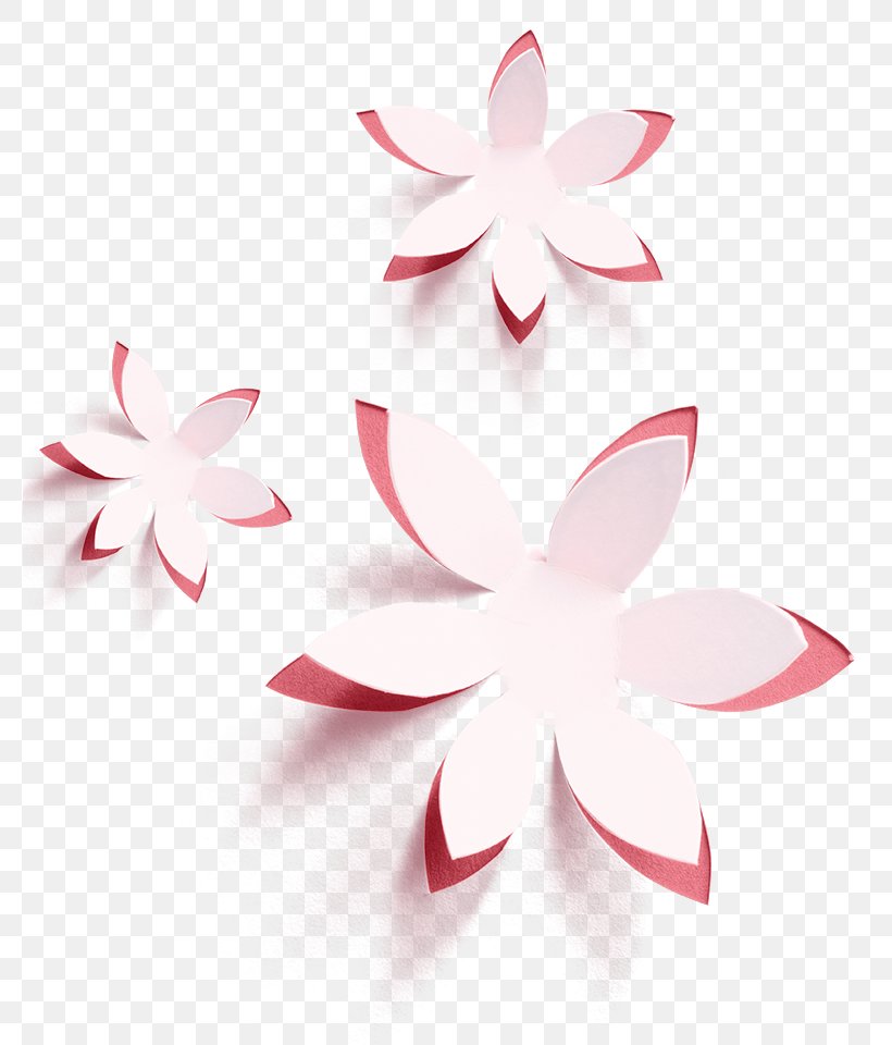Pinterest Person Pink M, PNG, 778x960px, Pinterest, Flower, Person, Petal, Pink Download Free