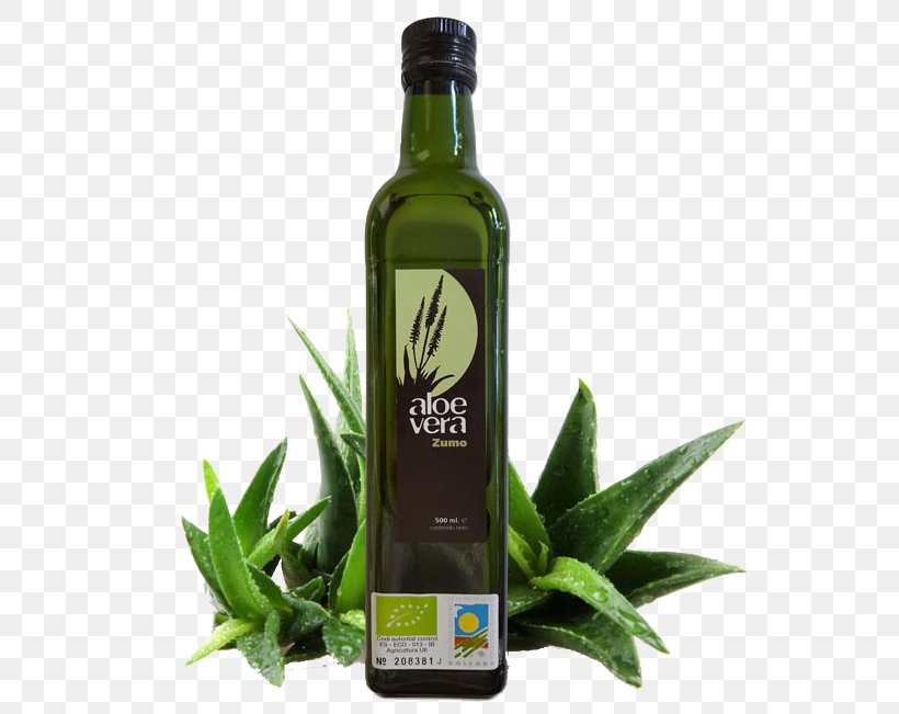 Aloe Vera Skin Care Aloe Ferox Xeroderma, PNG, 581x651px, Aloe Vera, Acid Mantle, Aloe, Aloe Ferox, Cooking Oil Download Free