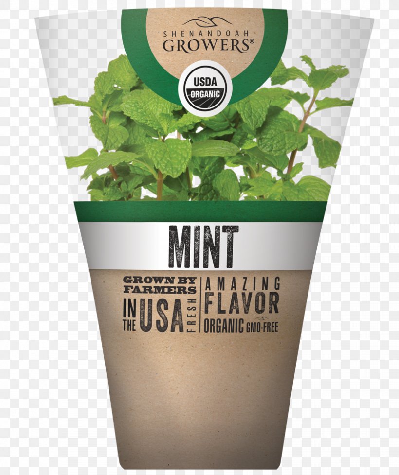 Herb Flowerpot Mint Julep Oregano, PNG, 839x1000px, Herb, Basil, Common Sage, Flavor, Flowerpot Download Free