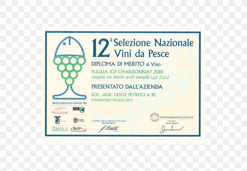 Iesi Verdicchio Dei Castelli Di Jesi Classico Superiore, PNG, 718x568px, Verdicchio, Area, Blue, Brand, Material Download Free