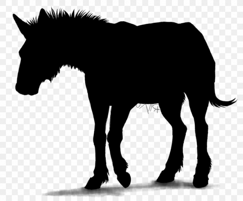 Mule Stallion Horse Foal Colt, PNG, 900x747px, Mule, Animal Figure, Blackandwhite, Colt, Data Download Free