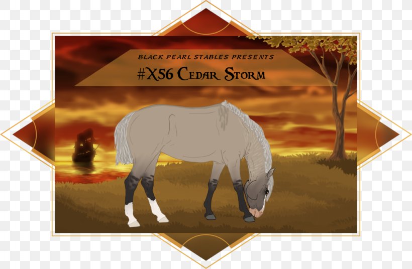 Mustang Mane Stallion Mammal Pack Animal, PNG, 1024x670px, Mustang, Creature, Hair, Horse, Horse Like Mammal Download Free