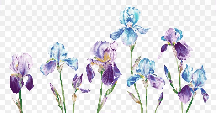 Watercolor Painting Download, PNG, 7087x3730px, Watercolor Painting, Bluebonnet, Color, Cut Flowers, Drawing Download Free