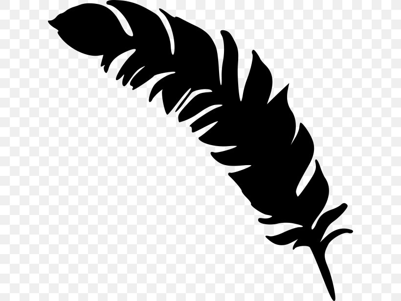 Feather Drawing, PNG, 624x616px, Feather, Artwork, Beak, Black, Black And White Download Free