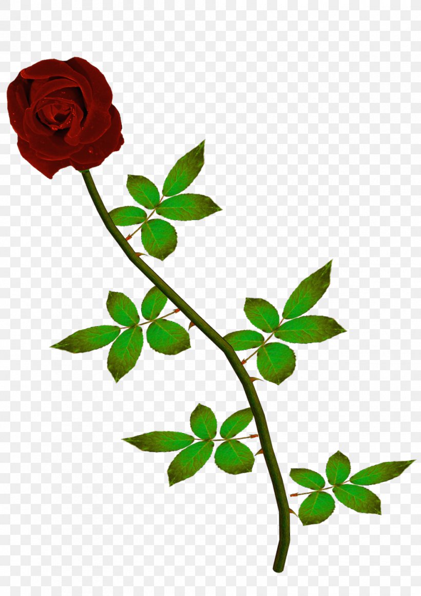 Flower Desktop Wallpaper Clip Art, PNG, 990x1400px, Flower, Animation, Branch, Centifolia Roses, Cut Flowers Download Free