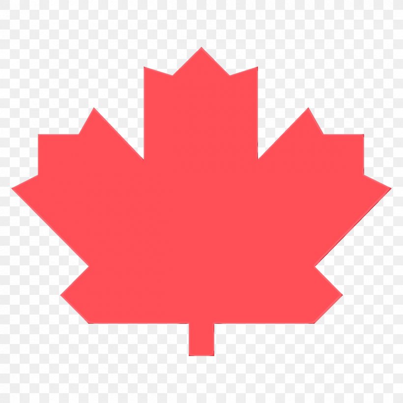 Maple Leaf, PNG, 1200x1200px, Watercolor, Leaf, Logo, Maple Leaf, Paint Download Free