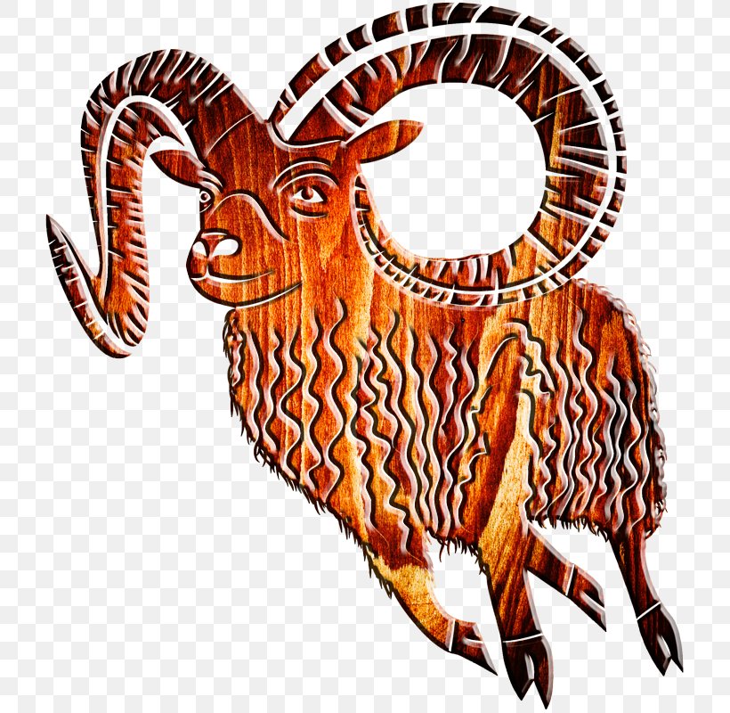 Sheep Goat Ahuntz Clip Art, PNG, 800x800px, Sheep, Ahuntz, Art, Extinction, Fauna Download Free