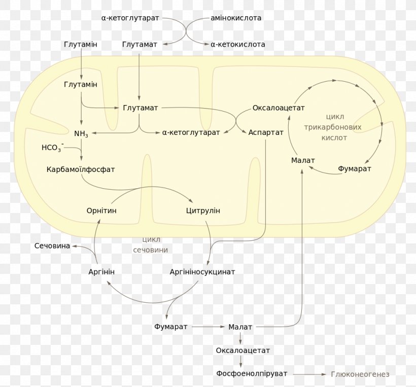 Wikimedia Commons Rendering, PNG, 1100x1024px, Wikimedia Commons, Area, Diagram, Integral, Plan Download Free