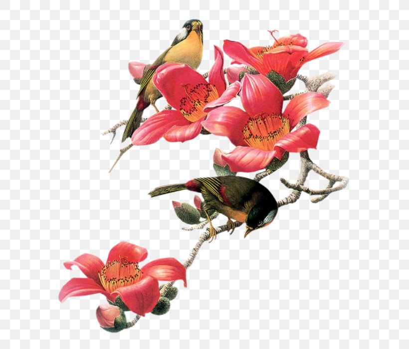 Bird Embroidery, PNG, 646x699px, Bird, Bird Feeders, Bird Of Prey, Blossom, Branch Download Free