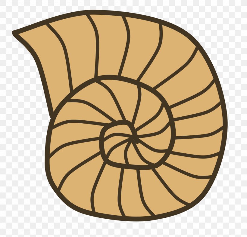 Clip Art Fossil Openclipart Seashell Ammonites, PNG, 1000x961px, Fossil, Ammonites, Area, Asaphus Kowalewskii, Gastropod Shell Download Free