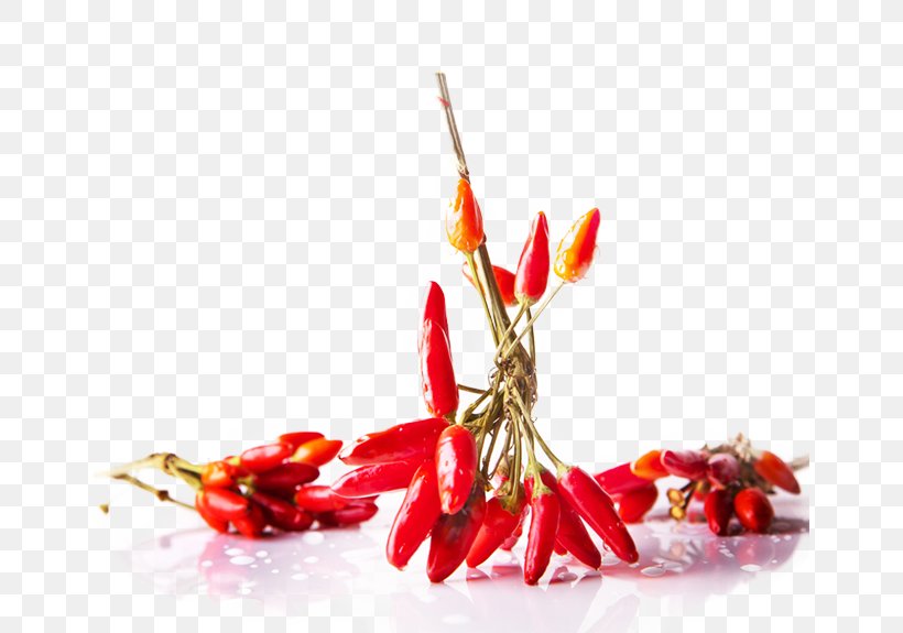 Indian Cuisine Chili Pepper Food Photography South Asian Pickles, PNG, 650x575px, Indian Cuisine, Bell Peppers And Chili Peppers, Cayenne Pepper, Chili Con Carne, Chili Pepper Download Free