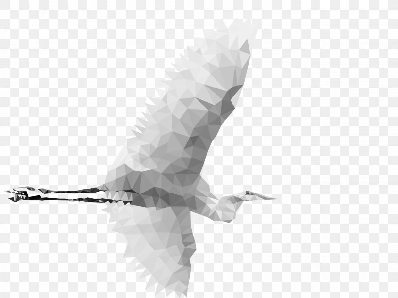 Siberian Crane, PNG, 2837x2123px, Crane, Animal, Beak, Bird, Bird Of Prey Download Free