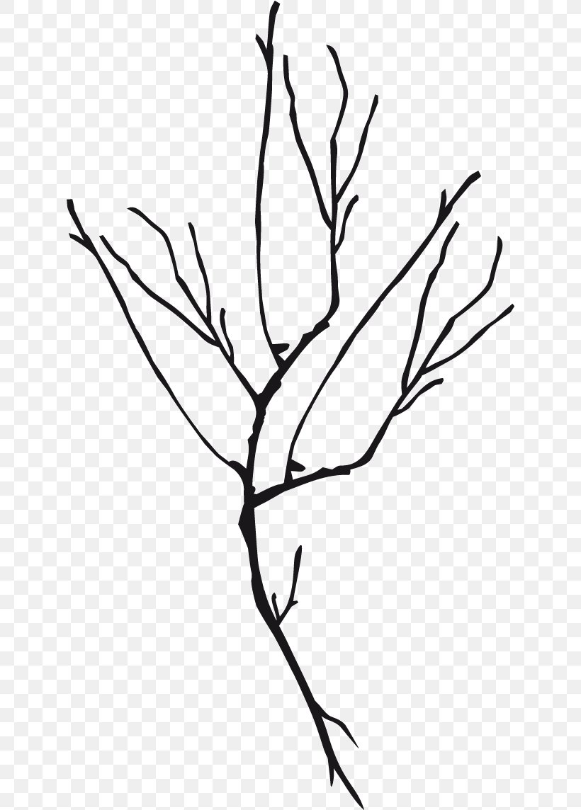 Twig Line Art Plant Stem Leaf Clip Art, PNG, 632x1144px, Twig, Artwork, Black And White, Branch, Flora Download Free