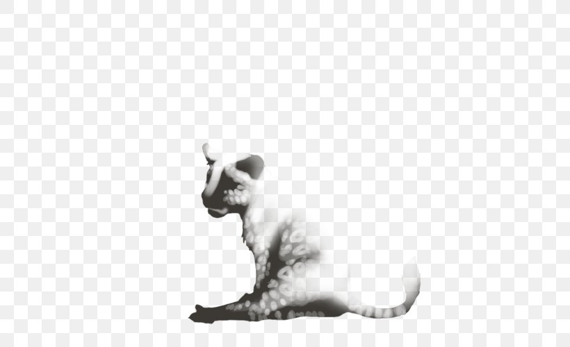 Whiskers Balinese Cat Kitten Dog Drawing, PNG, 640x500px, Whiskers, Balinese, Balinese Cat, Black And White, Canidae Download Free