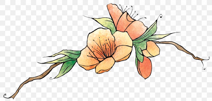 Floral Design Cut Flowers Line Art, PNG, 1500x719px, Floral Design, Art, Artwork, Cartoon, Cut Flowers Download Free