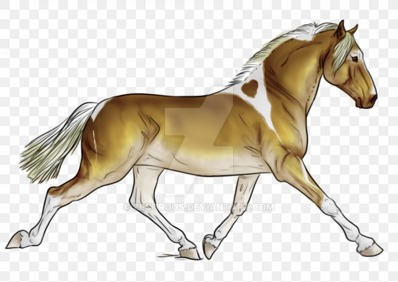 Foal Stallion Mustang Mare Pony, PNG, 900x639px, Foal, Animal Figure, Bridle, Colt, Deviantart Download Free