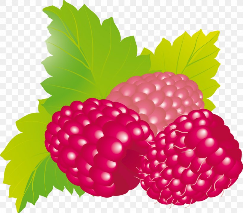 Food Raspberry Health Clip Art, PNG, 900x789px, Food, Berry, Boysenberry, Diet, Eating Download Free