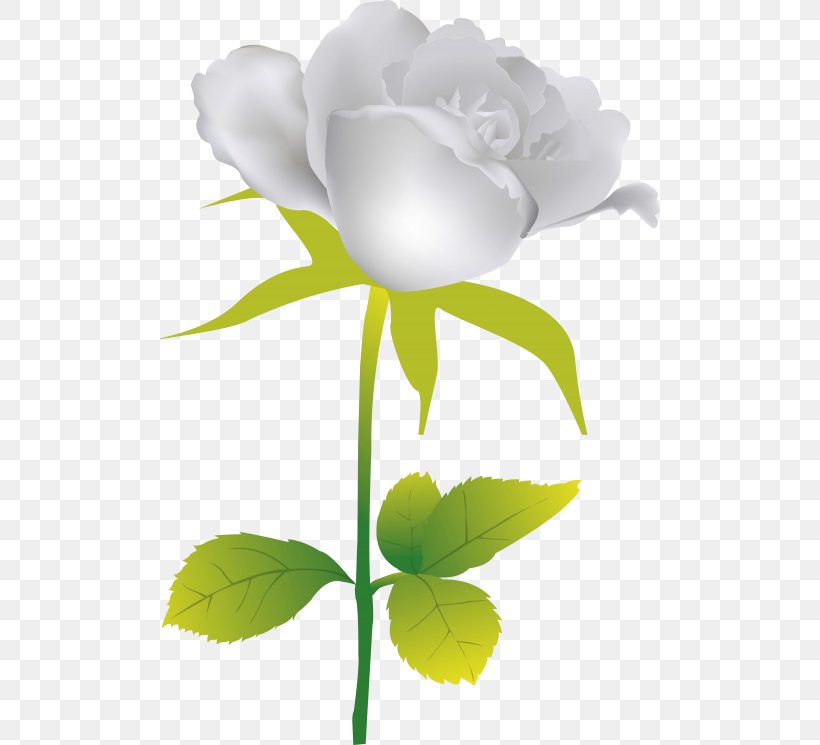 Garden Roses Flower, PNG, 500x745px, Garden Roses, Archive File, Color, Cut Flowers, Floral Design Download Free