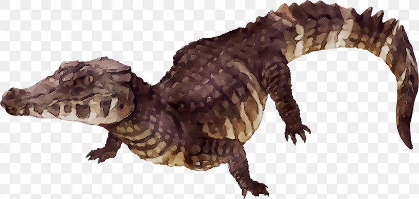 Tyrannosaurus Crocodile Velociraptor Fauna Terrestrial Animal, PNG, 1292x615px, Tyrannosaurus, Animal, Animal Figure, Claw, Crocodile Download Free