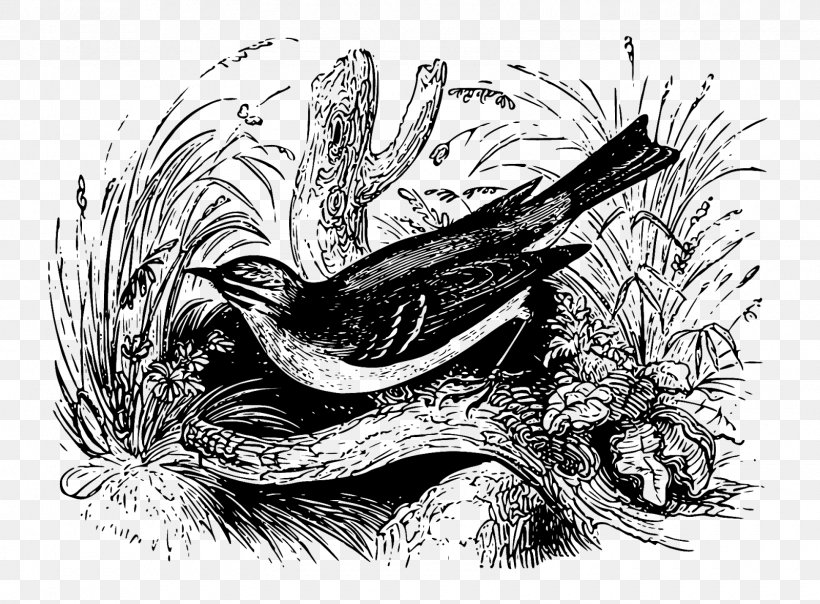 Wren Bird Evidence Of Absence Superstition, PNG, 1600x1179px, Wren, Art, Artwork, Beak, Bird Download Free