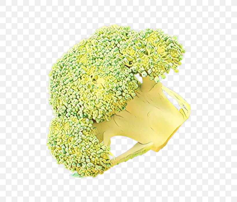 Yellow Cut Flowers Flower Plant Headgear, PNG, 665x699px, Cartoon, Broccoli, Cruciferous Vegetables, Cut Flowers, Flower Download Free