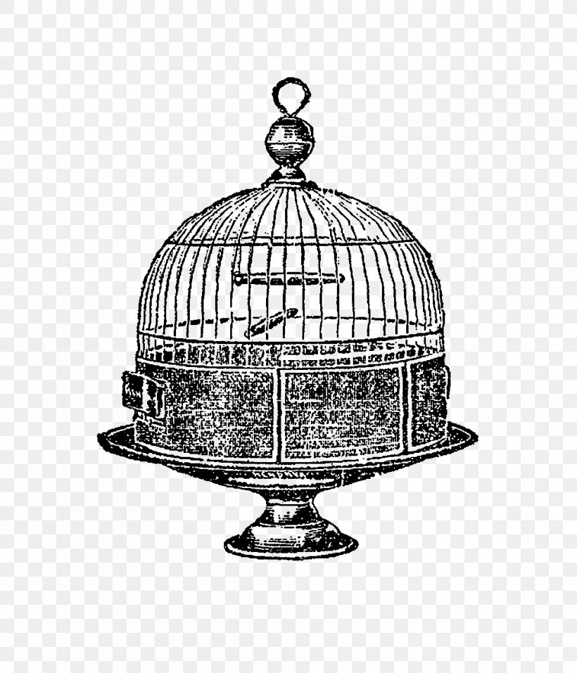 Birdcage Domestic Canary Drawing, PNG, 1000x1168px, Bird, Antique, Birdcage, Black And White, Cage Download Free