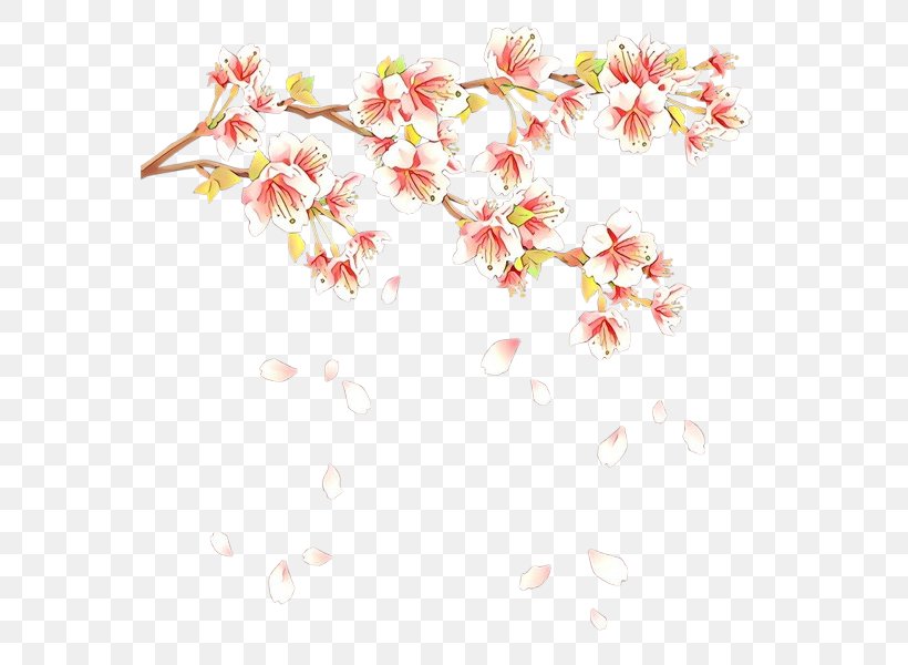 Cherry Blossom Design Illustration Spring, PNG, 566x600px, Cherry Blossom, Amir, Blossom, Cherries, Floral Design Download Free