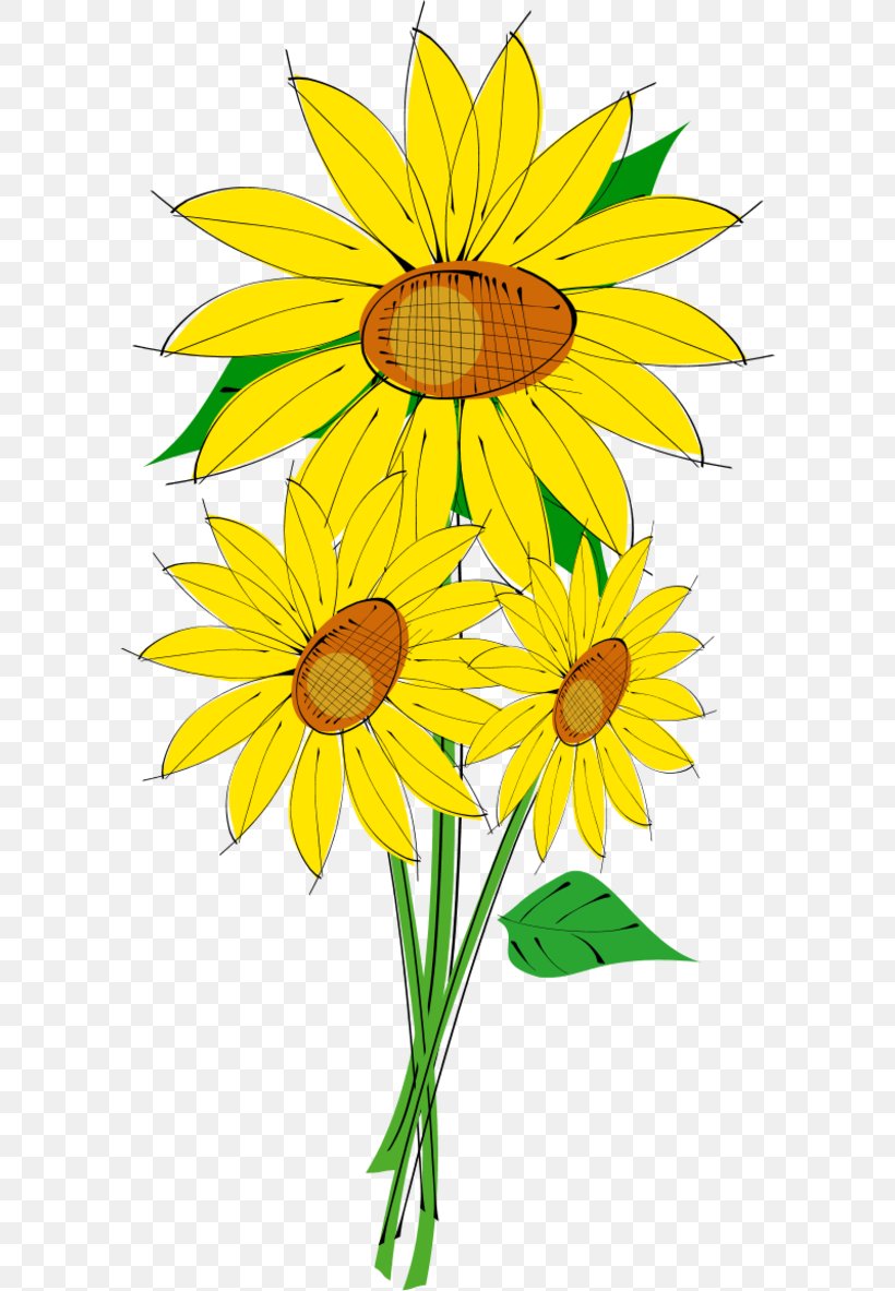 Common Sunflower Download Clip Art, PNG, 600x1183px, Common Sunflower, Blog, Cut Flowers, Daisy, Daisy Family Download Free
