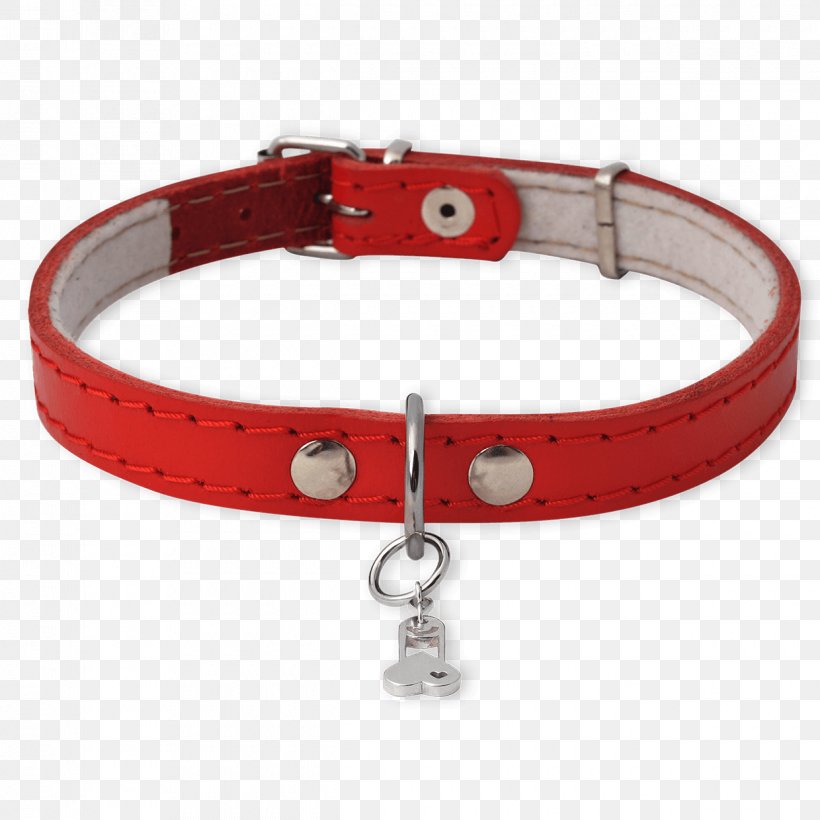 Dog Collar, PNG, 1240x1240px, Dog Collar, Collar, Dog, Red Download Free
